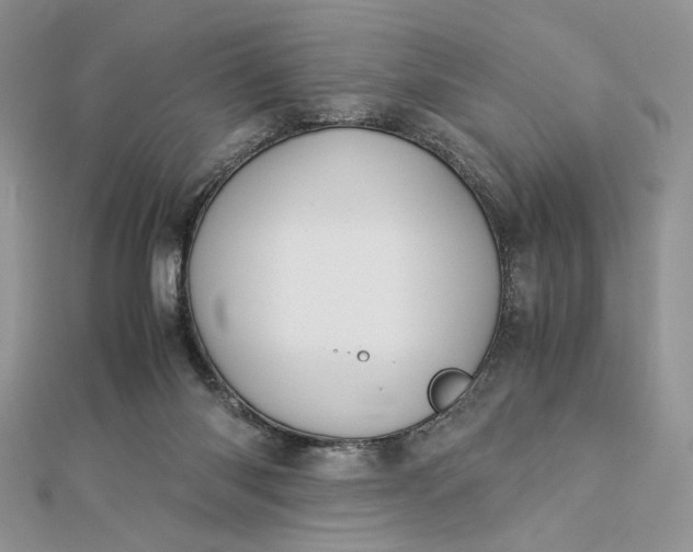 X0000112880118200909041649