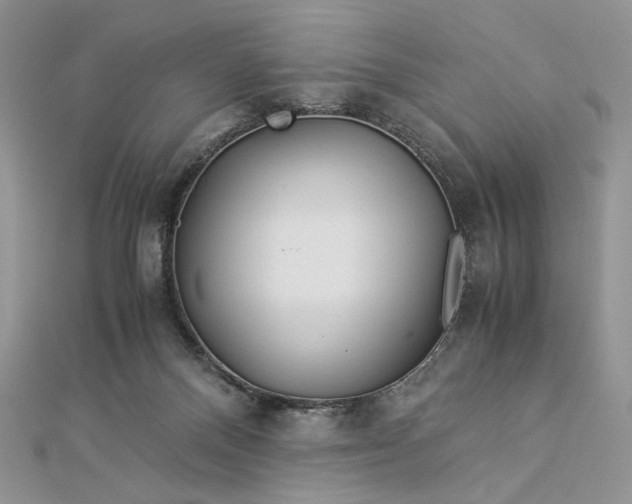 X0000112880120200909041649