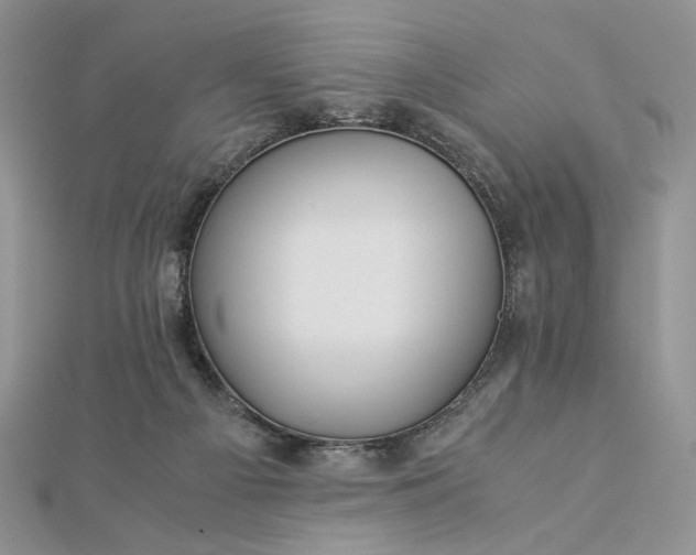 X0000112880121200909041649