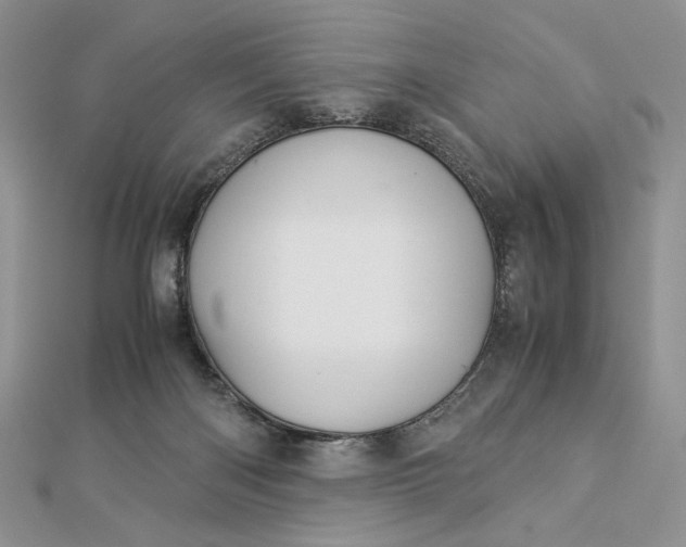 X0000112880122200909041649