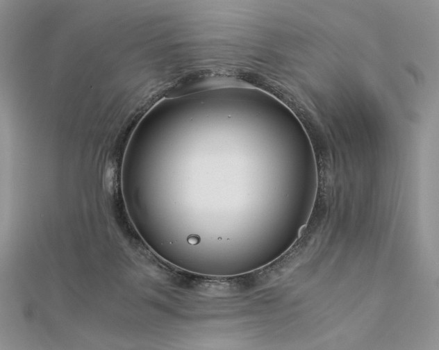 X0000112880123200909041649