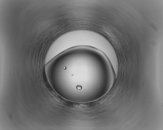 X0000112880125200909041649