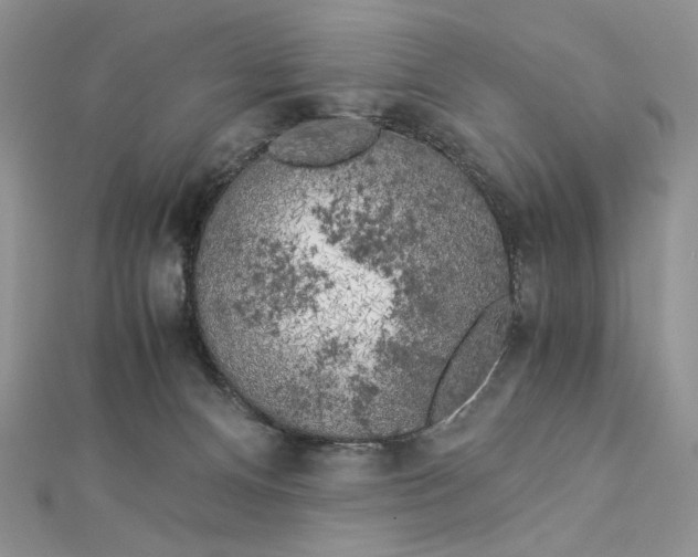 X0000112880128200909041649