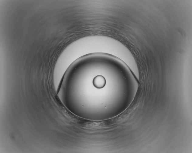 X0000112880129200909041649