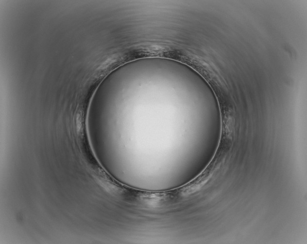 X0000112880131200909041649