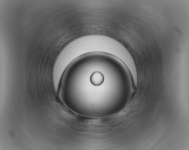 X0000112880132200909041649