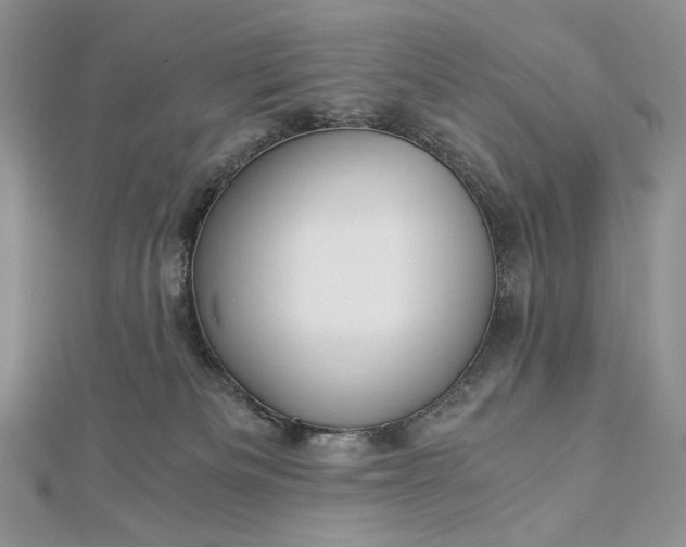 X0000112880133200909041649