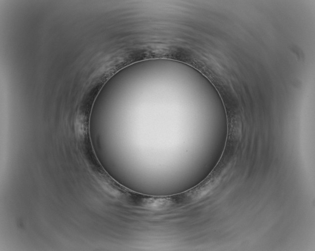 X0000112880135200909041649