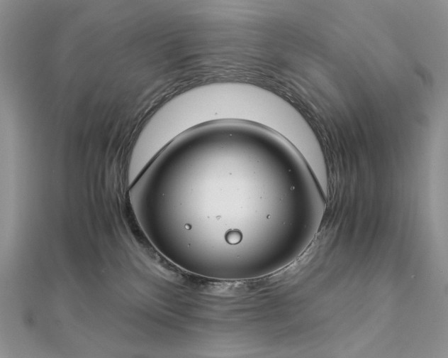 X0000112880136200909041649