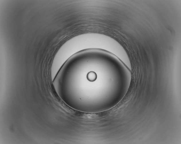 X0000112880137200909041649