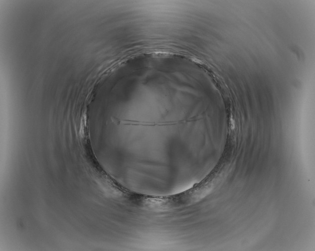 X0000112880139200909041649