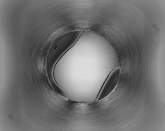 X0000112880140200909041649