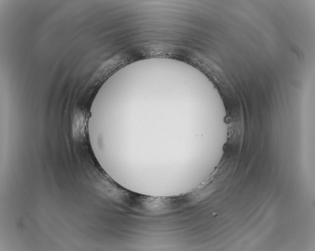 X0000112880142200909041649