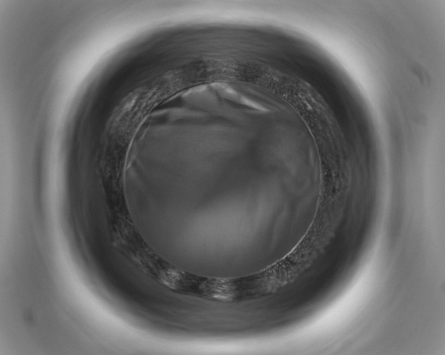 X0000112880143200909041648