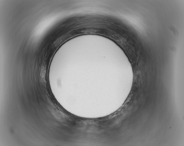 X0000112880146200909041648