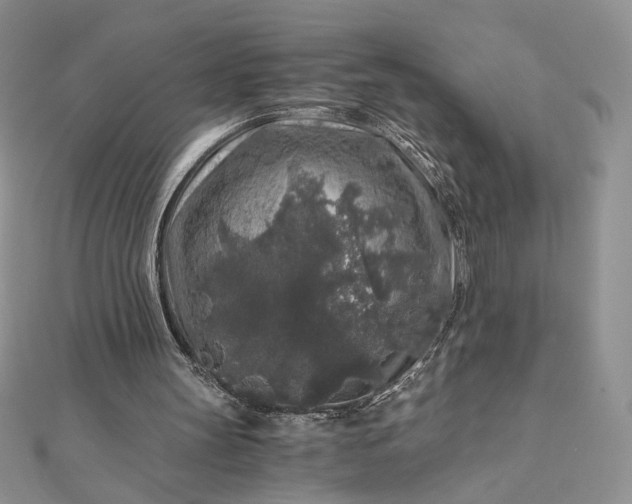 X0000112880147200909041648