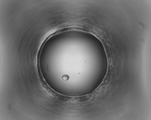 X0000112880148200909041648