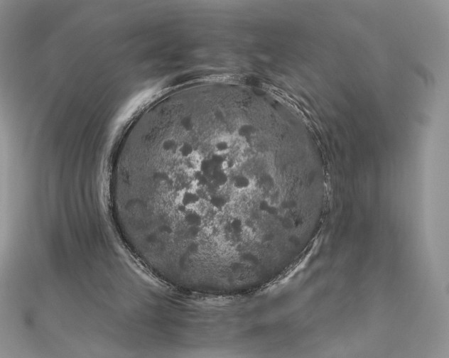 X0000112880149200909041648