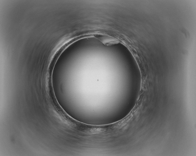 X0000112880152200909041648