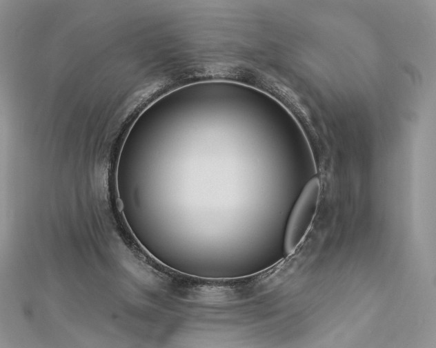 X0000112880154200909041648