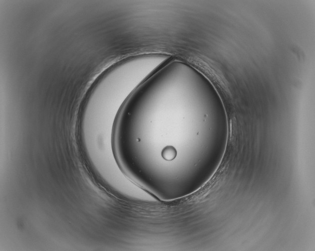 X0000112880156200909041648