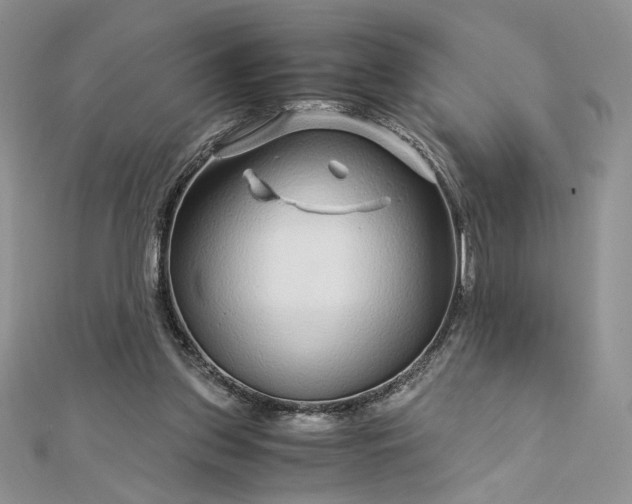 X0000112880157200909041648