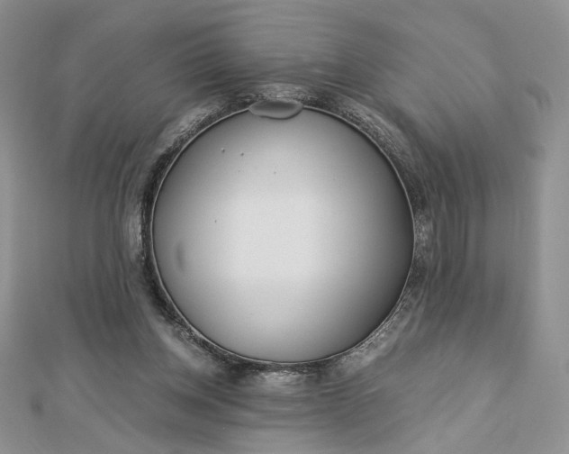 X0000112880158200909041648