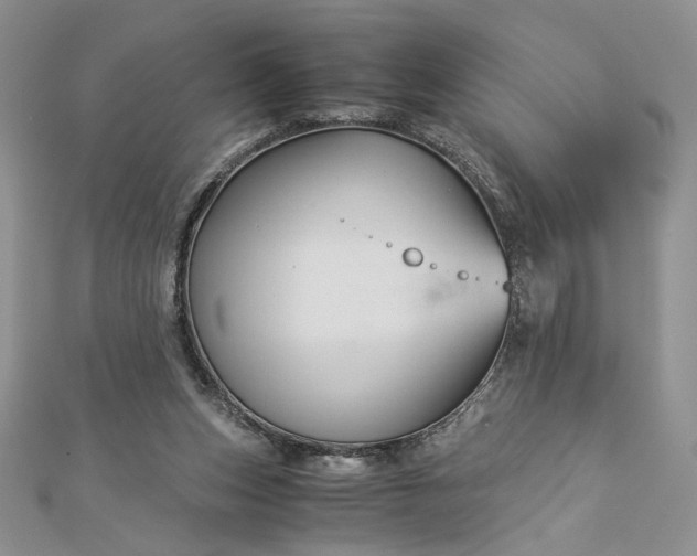 X0000112880159200909041648