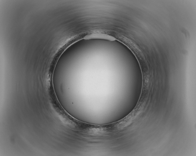 X0000112880160200909041648