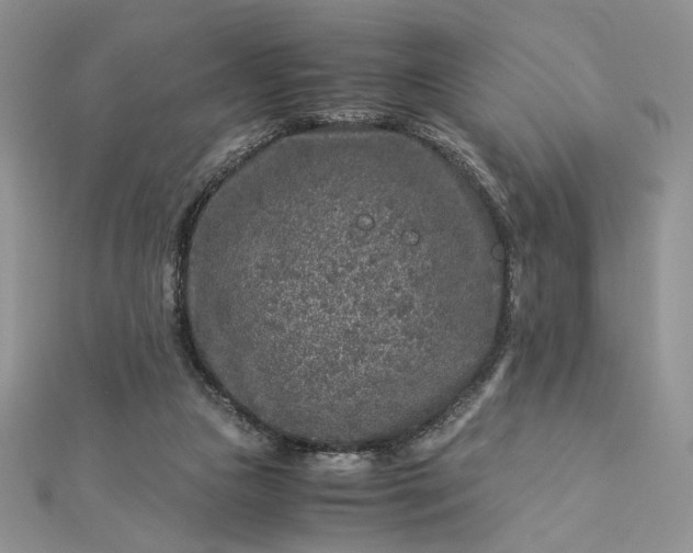 X0000112880161200909041648