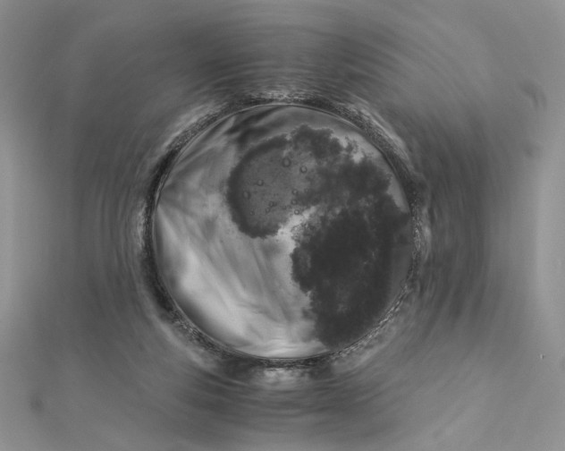 X0000112880163200909041648