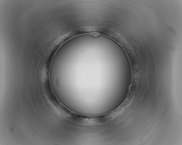 X0000112880164200909041648