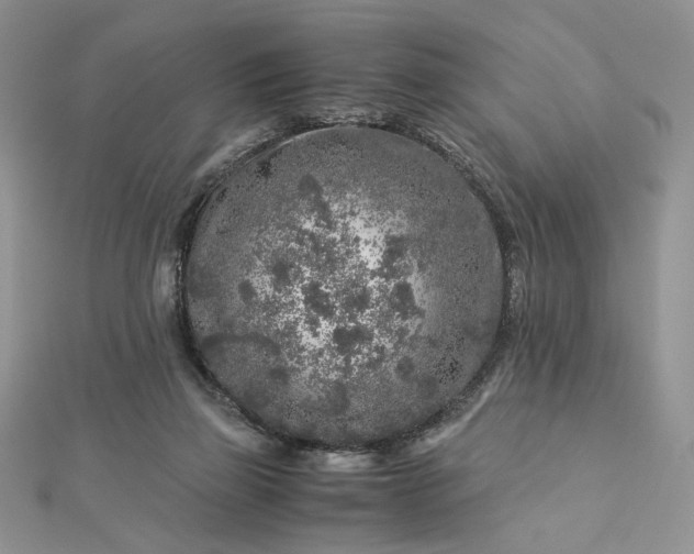 X0000112880165200909041648