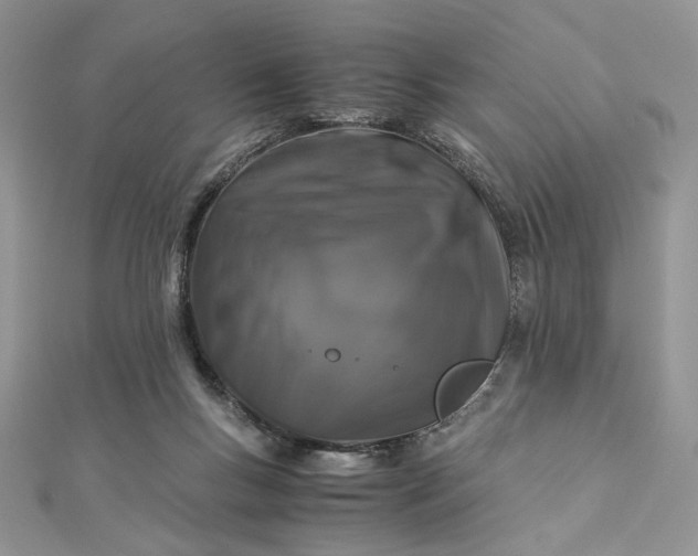 X0000112880167200909041648