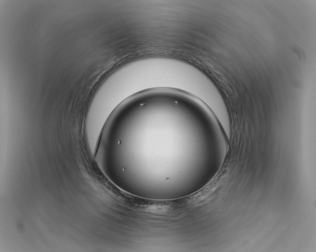 X0000112880168200909041648