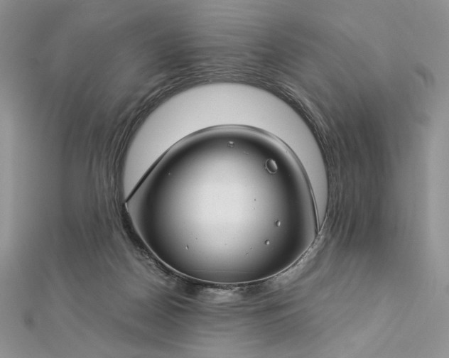 X0000112880170200909041648