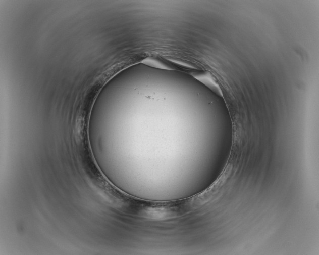 X0000112880171200909041648