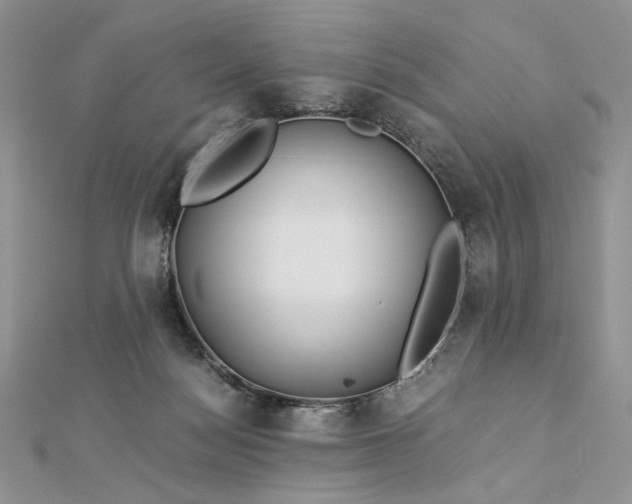 X0000112880172200909041648