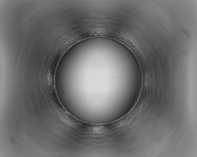 X0000112880173200909041648