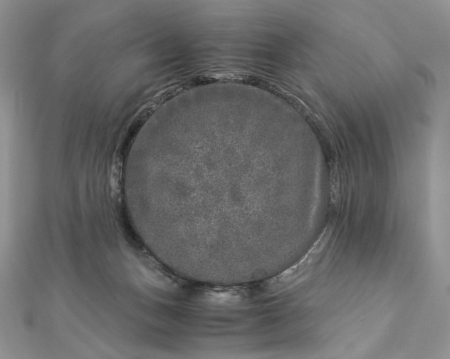 X0000112880175200909041648