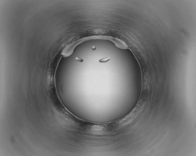 X0000112880176200909041648