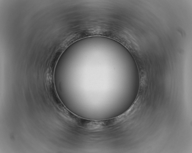 X0000112880179200909041648