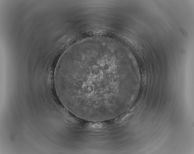 X0000112880181200909041648