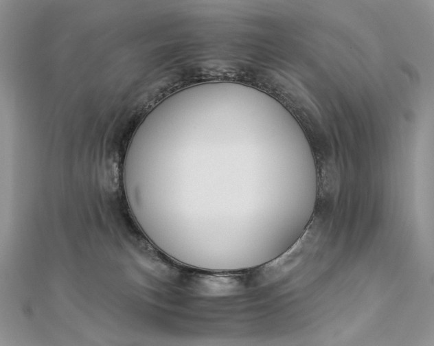 X0000112880183200909041648