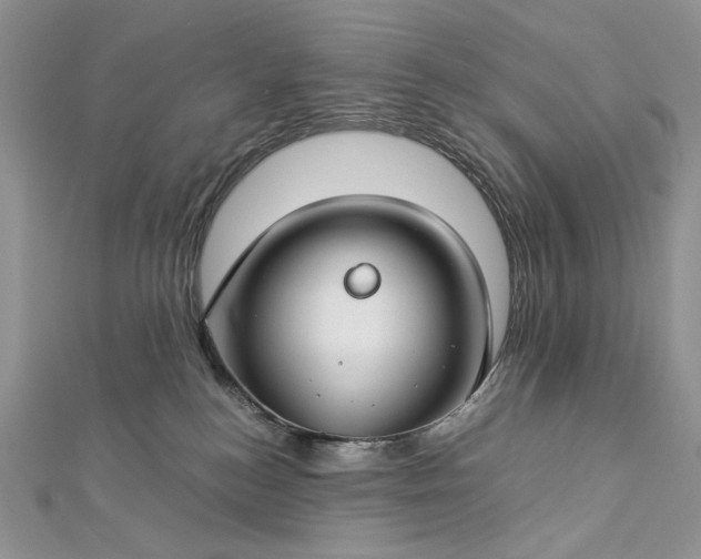 X0000112880184200909041648