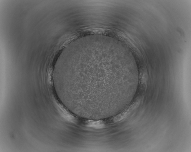 X0000112880185200909041648