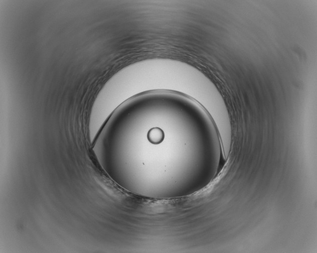 X0000112880186200909041648