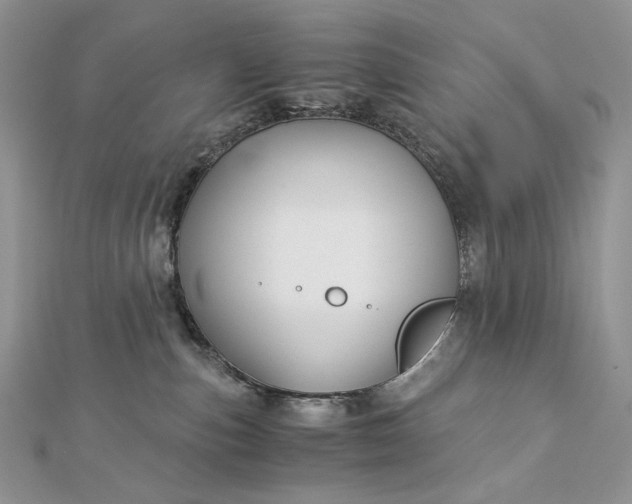 X0000112880187200909041648