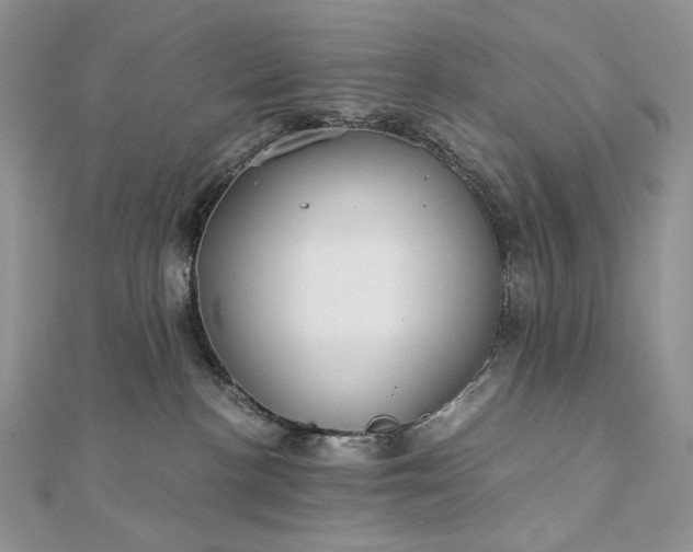 X0000112880188200909041648