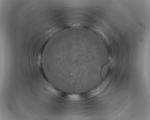 X0000112880189200909041648